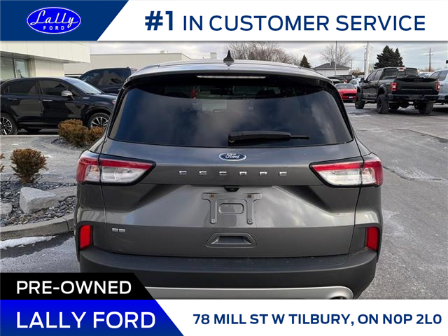 2021 Ford Escape SE (Stk: LF00806MA) in Tilbury - Image 4 of 15