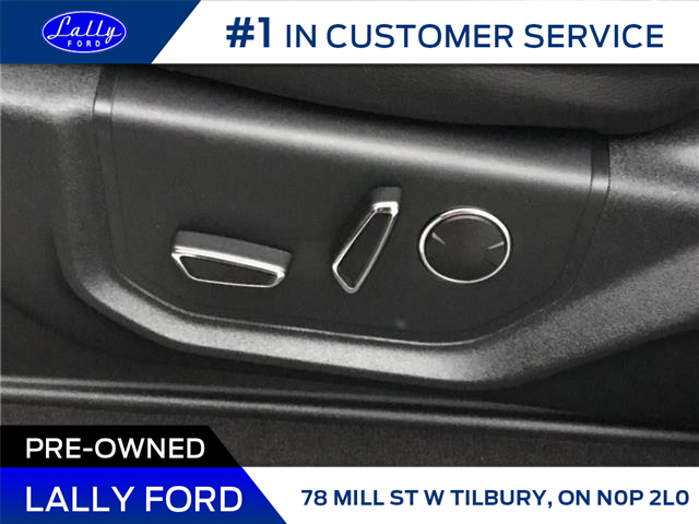 2019 Ford F-250 Lariat (Stk: LF27915P) in Tilbury - Image 16 of 24