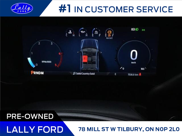 2026 Ford F-250 Platinum (Stk: LF02023P) in Tilbury - Image 12 of 18