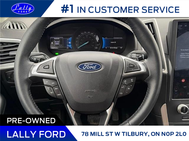 2024 Ford Edge SEL (Stk: LFFF01041C) in Tilbury - Image 11 of 15