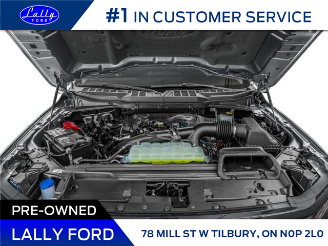 2026 Ford F-150 XLT (Stk: LFFF01511) in Tilbury - Image 9 of 13