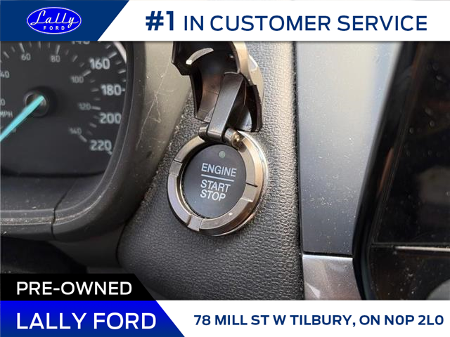 2020 Ford EcoSport SE (Stk: LF00778MA) in Tilbury - Image 12 of 15 2020 Ford EcoSport SE (Stk: LF00778MA) in Tilbury - Image 12 of 15