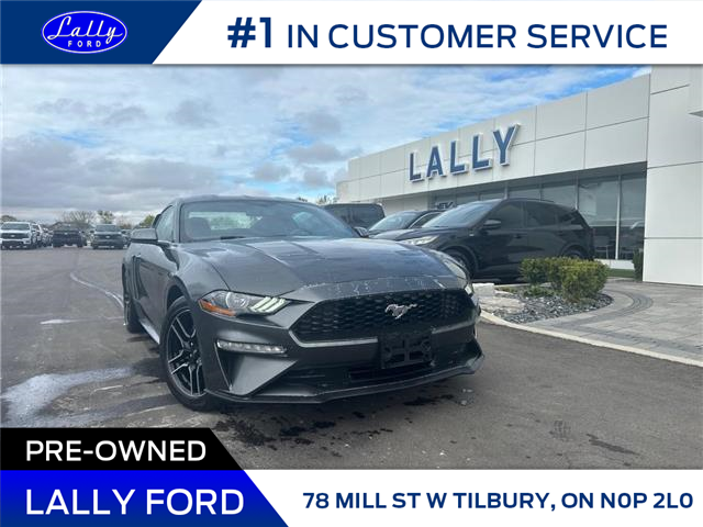 2020 Ford Mustang EcoBoost (Stk: LFMU00940A) in Tilbury - Image 1 of 16