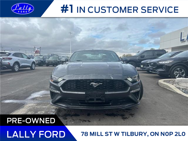 2020 Ford Mustang EcoBoost (Stk: LFMU00940A) in Tilbury - Image 2 of 16