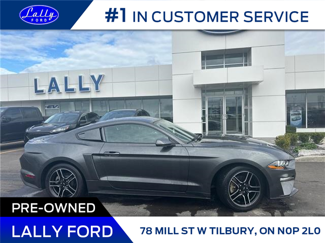 2020 Ford Mustang EcoBoost (Stk: LFMU00940A) in Tilbury - Image 3 of 16