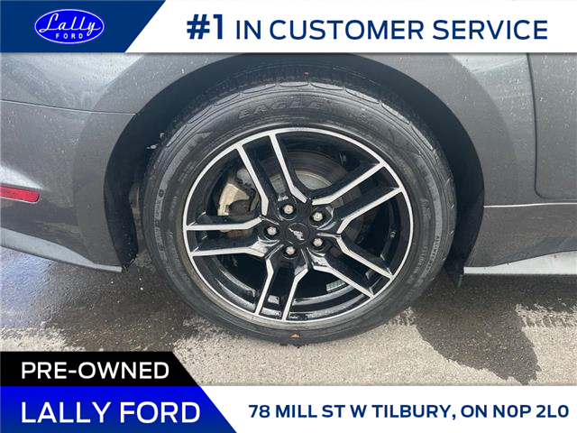 2020 Ford Mustang EcoBoost (Stk: LFMU00940A) in Tilbury - Image 4 of 16