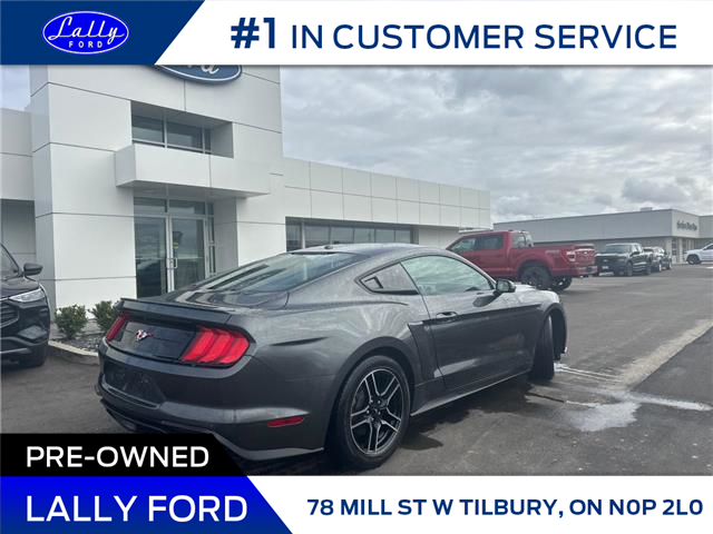 2020 Ford Mustang EcoBoost (Stk: LFMU00940A) in Tilbury - Image 5 of 16