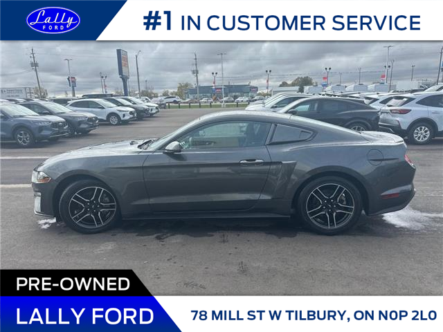 2020 Ford Mustang EcoBoost (Stk: LFMU00940A) in Tilbury - Image 7 of 16