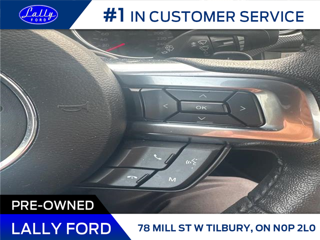 2020 Ford Mustang EcoBoost (Stk: LFMU00940A) in Tilbury - Image 10 of 16