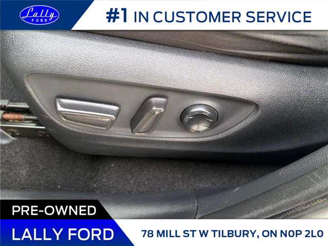 2019 Toyota RAV4 XLE (Stk: LFFF01200B) in Tilbury - Image 8 of 15