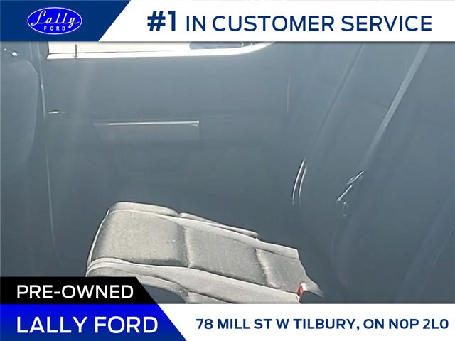 2022 Ford F-150 XLT (Stk: LFEX01547A) in Tilbury - Image 19 of 21