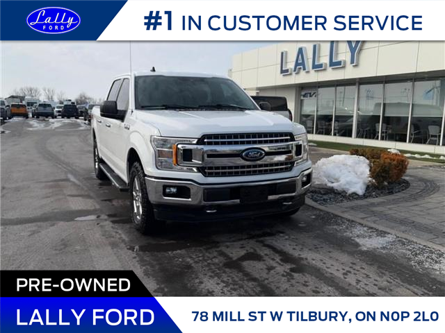 2019 Ford F-150 XLT (Stk: LFFF00470A) in Tilbury - Image 1 of 15