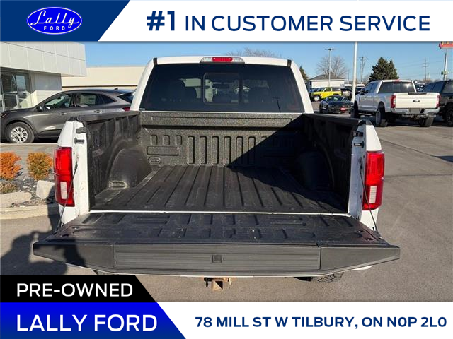 2019 Ford F-150 Lariat (Stk: LFFF01705A) in Tilbury - Image 5 of 15
