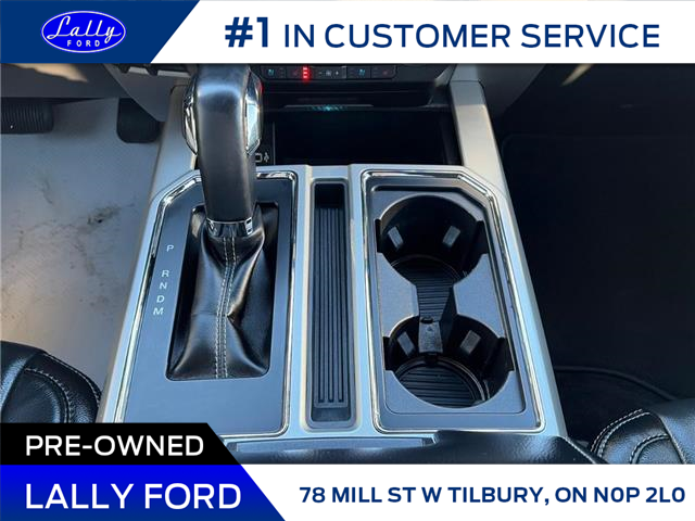 2019 Ford F-150 Lariat (Stk: LFFF01705A) in Tilbury - Image 14 of 15