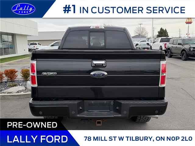 2014 Ford F-150 Limited (Stk: LFVF2F01587A) in Tilbury - Image 4 of 13