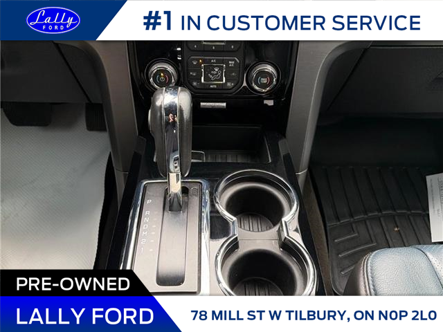 2014 Ford F-150 Limited (Stk: LFVF2F01587A) in Tilbury - Image 12 of 13