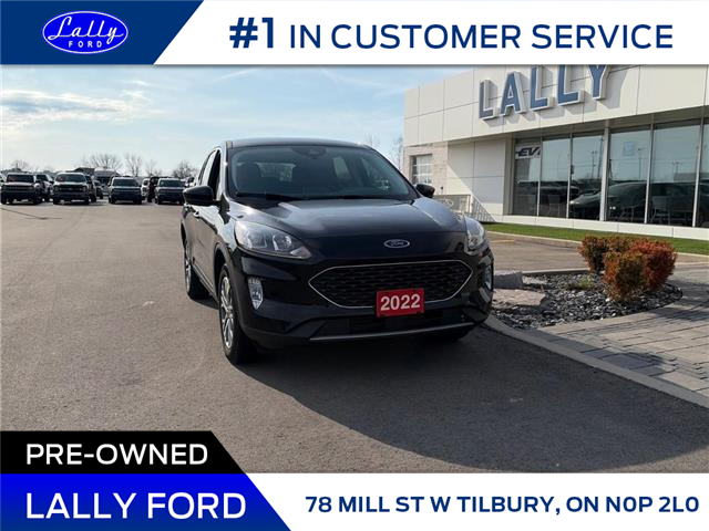 2022 Ford Escape SEL (Stk: LF00983MA) in Tilbury - Image 1 of 8