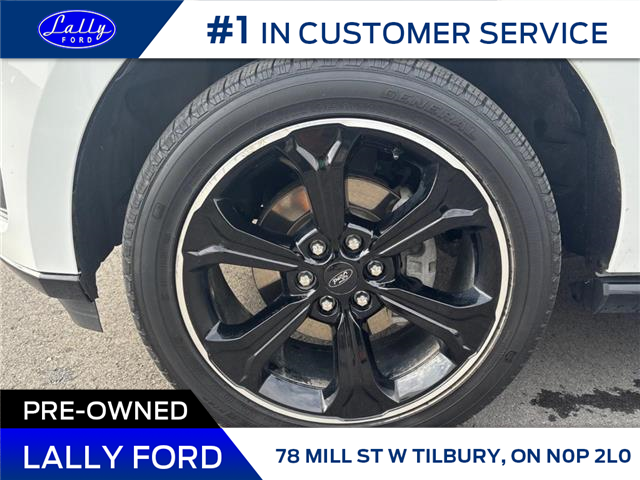 2023 Ford Expedition Max Limited (Stk: LF00981P) in Tilbury - Image 10 of 21