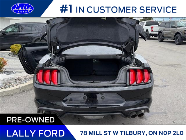 2023 Ford Mustang GT Premium (Stk: LFEP01310A) in Tilbury - Image 5 of 14 2023 Ford Mustang GT Premium (Stk: LFEP01310A) in Tilbury - Image 5 of 14