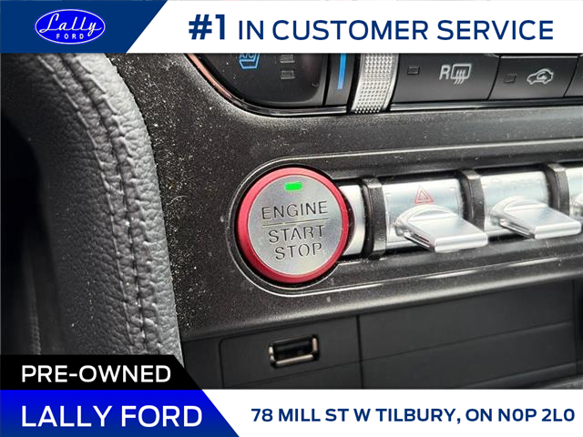 2023 Ford Mustang GT Premium (Stk: LFEP01310A) in Tilbury - Image 11 of 14 2023 Ford Mustang GT Premium (Stk: LFEP01310A) in Tilbury - Image 11 of 14