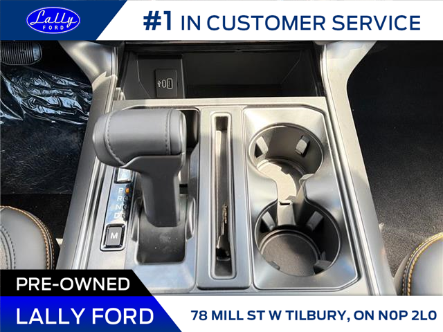 2026 Ford F-150 Tremor (Stk: SPFF00845) in Tilbury - Image 14 of 15