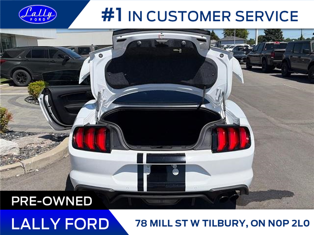 2018 Ford Mustang GT Premium (Stk: LFBS01473B) in Tilbury - Image 5 of 14