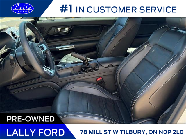 2018 Ford Mustang GT Premium (Stk: LFBS01473B) in Tilbury - Image 7 of 14