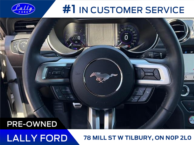 2018 Ford Mustang GT Premium (Stk: LFBS01473B) in Tilbury - Image 11 of 14