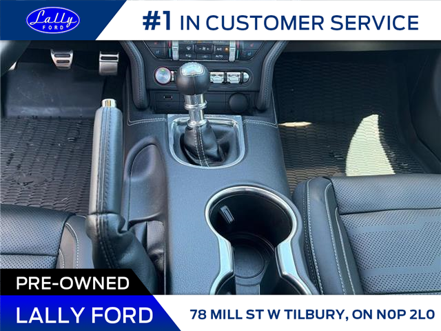2018 Ford Mustang GT Premium (Stk: LFBS01473B) in Tilbury - Image 14 of 14