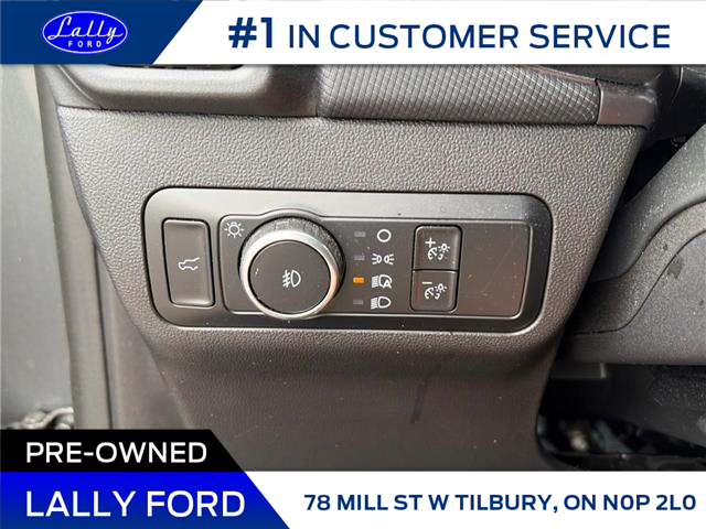 2024 Ford Bronco Sport Badlands (Stk: LFEP02052A) in Tilbury - Image 9 of 14