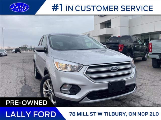 2019 Ford Escape SE (Stk: 29194A) in Tilbury - Image 1 of 17