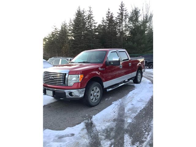 2010 Ford F-150 XLT (Stk: 1M493A) in Shannon - Image 1 of 6