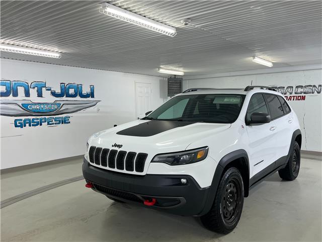 2019 Jeep Cherokee Trailhawk (Stk: 22222a) in Mont-Joli - Image 1 of 11