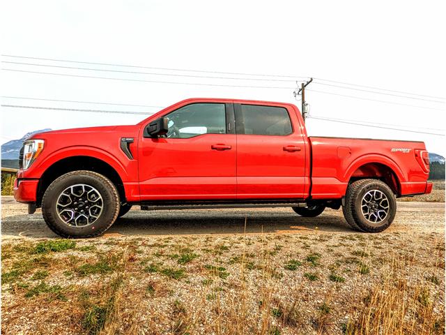 2022 Ford F-150  (Stk: 9995) in Golden - Image 1 of 31