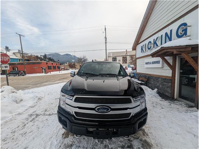 2020 Ford F-150 Platinum (Stk: 3638) in Golden - Image 1 of 11