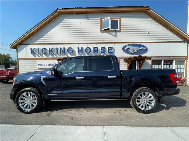 2023 Ford F-150 Limited (Stk: 10697) in Golden - Image 1 of 31