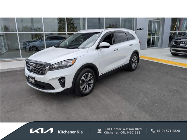 2019 Kia Sorento 3.3L EX (Stk: D25434A) in Kitchener - Image 1 of 29