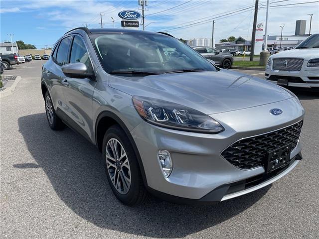 2022 Ford Escape SEL at $42183 for sale in Chatham - Victory Ford