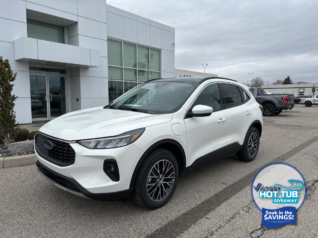 2024 Ford Escape PHEV (Stk: VEP22658) in Chatham - Image 1 of 16