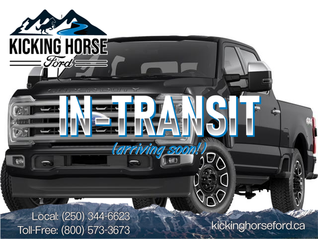 2023 Ford F-350 Platinum (Stk: 10837) in Golden - Image 1 of 6