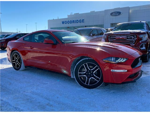 2019 Ford Mustang EcoBoost Premium (Stk: 78578) in Calgary - Image 1 of 18