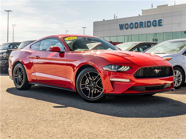 2022 Ford Mustang EcoBoost (Stk: 18596) in Calgary - Image 1 of 22