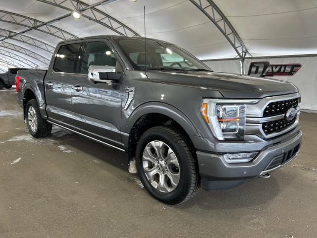 2022 Ford F-150 Platinum (Stk: 208074) in AIRDRIE - Image 1 of 32