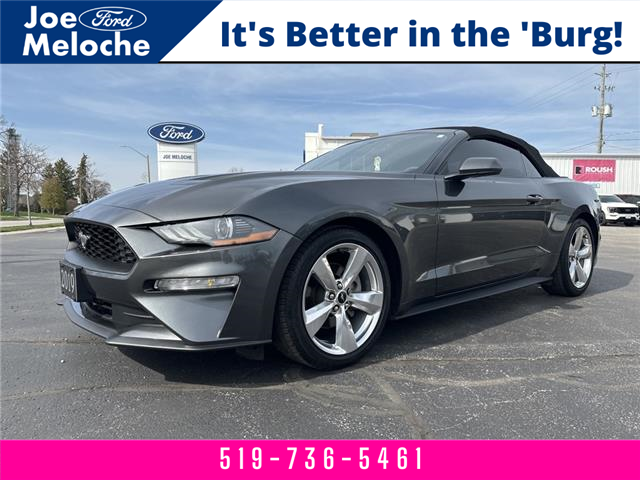 2019 Ford Mustang EcoBoost (Stk: 22208A) in Amherstburg - Image 1 of 17