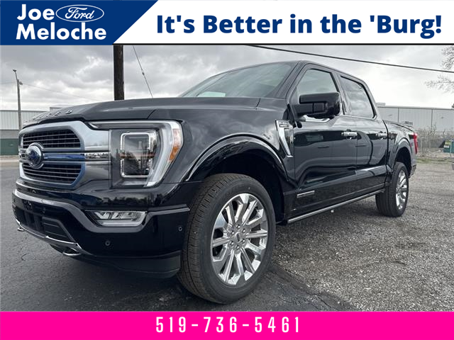 2023 Ford F-150 Limited (Stk: 23060) in Amherstburg - Image 1 of 2