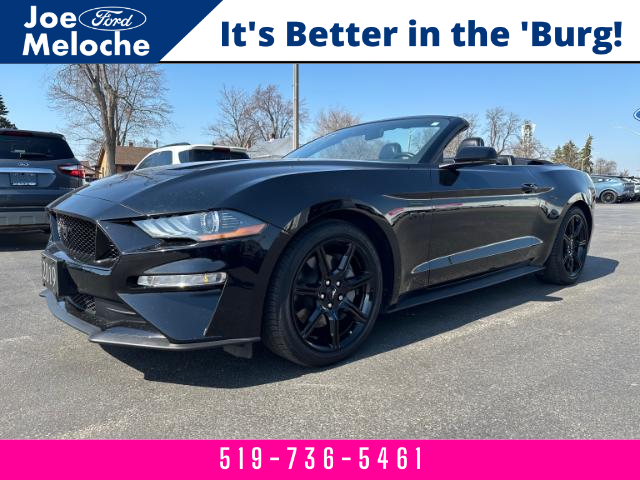 2019 Ford Mustang GT Premium (Stk: 24062A) in Amherstburg - Image 1 of 15