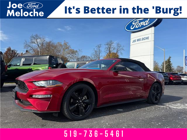 2021 Ford Mustang EcoBoost Premium (Stk: 25347A) in Amherstburg - Image 1 of 17