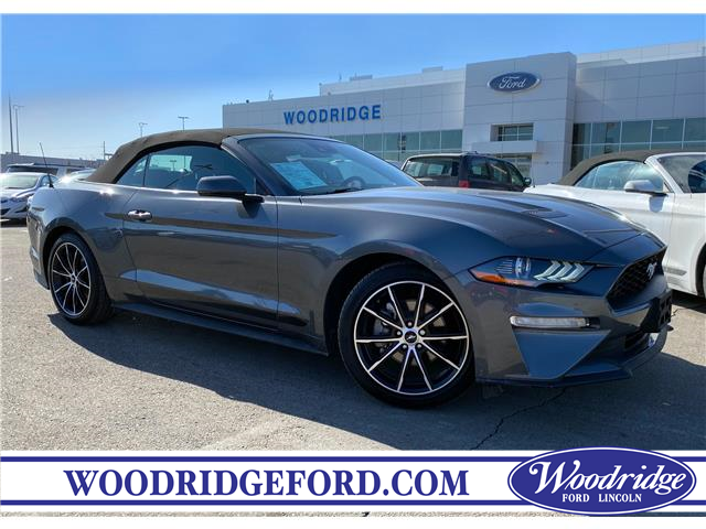 2022 Ford Mustang EcoBoost Premium (Stk: 18394) in Calgary - Image 1 of 24