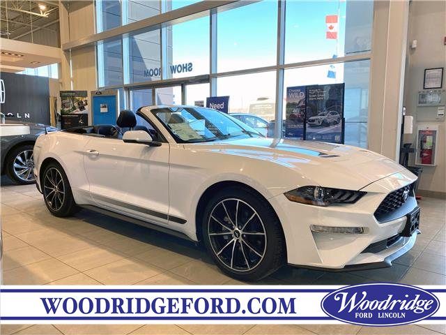 2022 Ford Mustang EcoBoost Premium (Stk: 18395) in Calgary - Image 1 of 17