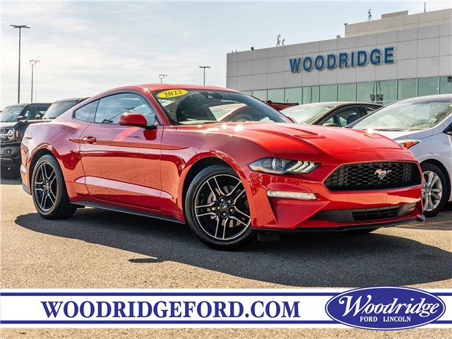 2022 Ford Mustang EcoBoost (Stk: 18596) in Calgary - Image 1 of 24